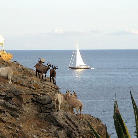 Isola D'Elba Come In Barca, A Un Tuffo Dal Mare Capoliveri  Ngoại thất bức ảnh