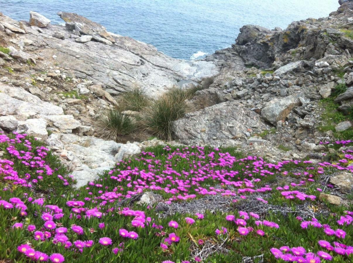 Isola D'Elba Come In Barca, A Un Tuffo Dal Mare Capoliveri  Ngoại thất bức ảnh